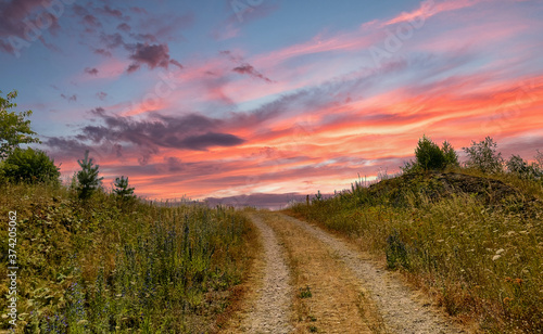 A path with trees on the side of a hill under a colorful dramatic sunset sky. High quality photo