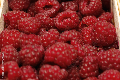 fresh handful of raspberries background closeup texture