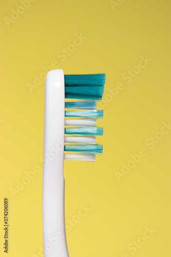 Toothbrush Bristles