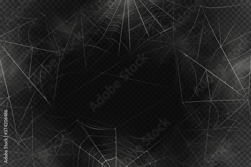 A black spider hangs on a web. Scary spiderweb of halloween symbol. Realistic  silhouette.Vector illustration.
