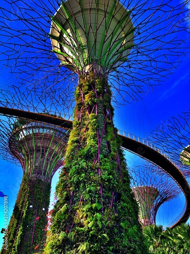 Jardines de la Bahía, Singapur © Josefina