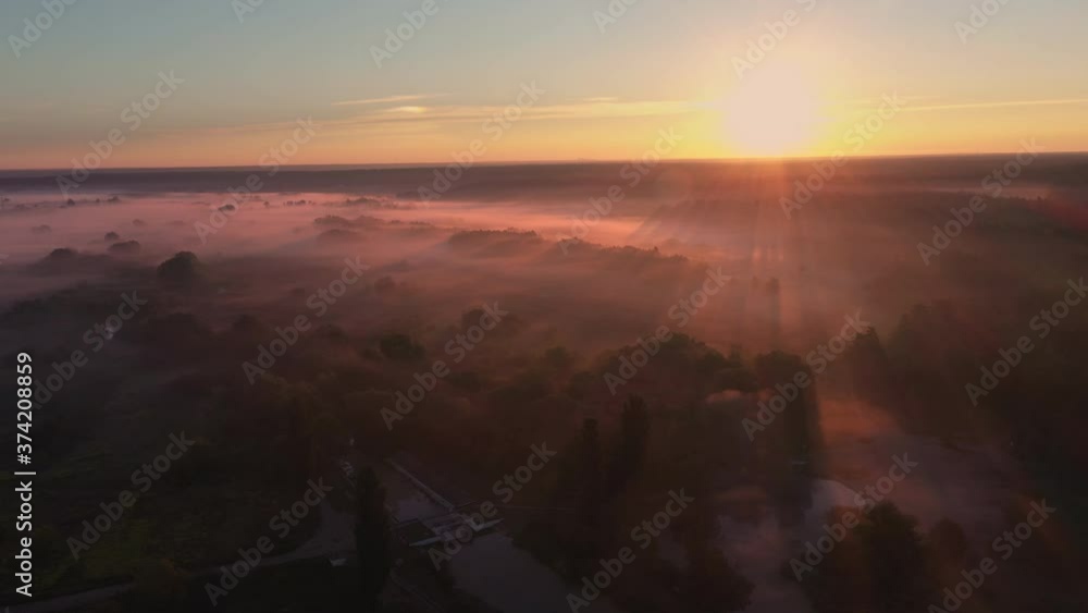 Aerial view of foggy forest at sunrise. Fog in the forest under the rays of the sun at dawn. Drone view of the mystical forest early in the morning. Aerial view of foggy forest at sunrise. Fog in the forest under the rays of the sun at dawn. Drone view of the mystical forest early in the morning.