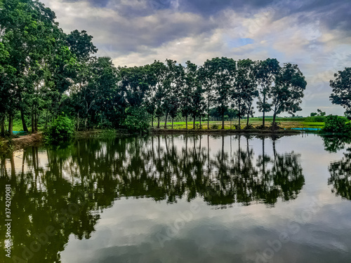 lake in the park