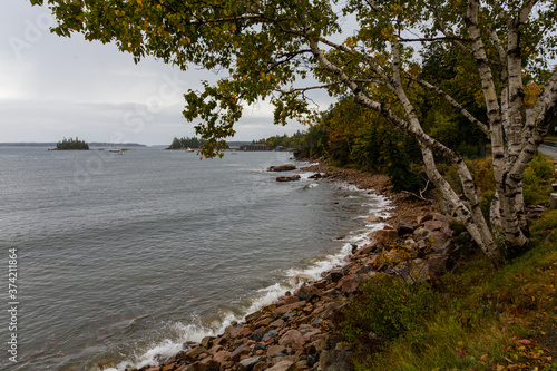 Wallpaper Mural Shore at Seal Harbor, Mount Dessert Island, Maine Torontodigital.ca