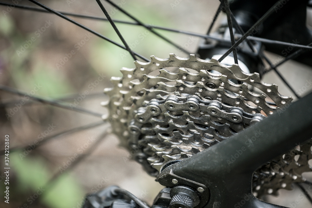 Fototapeta premium Eleven road bike wheel sprockets