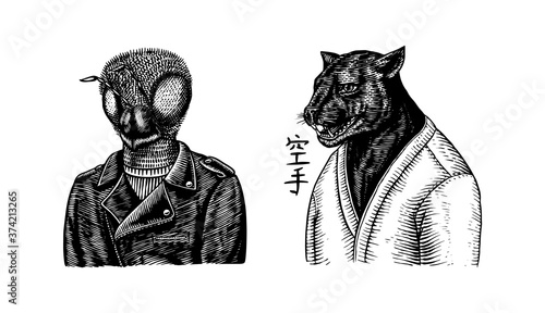 Black panther wrestler or cat fighter and Bee biker. Japanese text means: karate. Fashion Animal character. Hand drawn sketch. Vector engraved illustration for logo, label and tattoo or T-shirts.