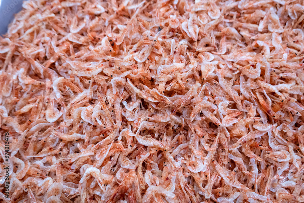 dried shrimp fish