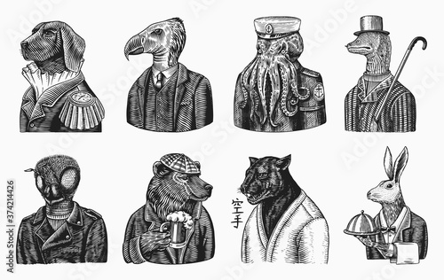 Grizzly Bear with a beer mug. Octopus sailor and Hare or Rabbit waiter. Dog officer and bird. Black panther and Bee biker. Japanese text means: karate. Fashion animal character. Hand drawn sketch.