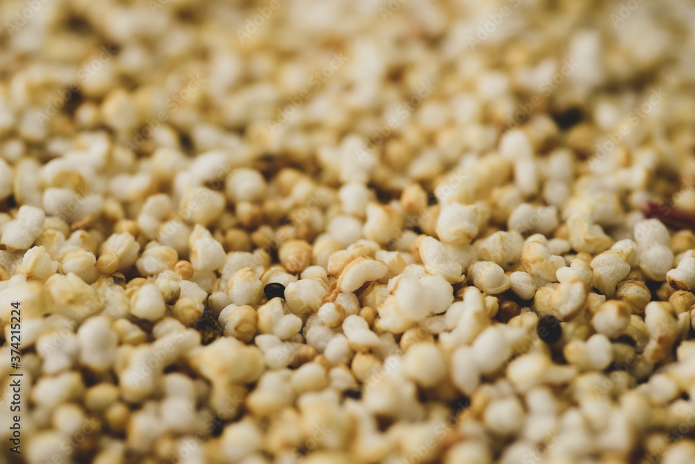 Macro Photography of Amaranth, selective focus