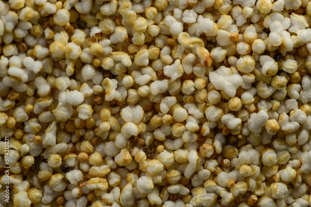 Macro Photography of Amaranth, selective focus Macro Photography of Amaranth, selective focus