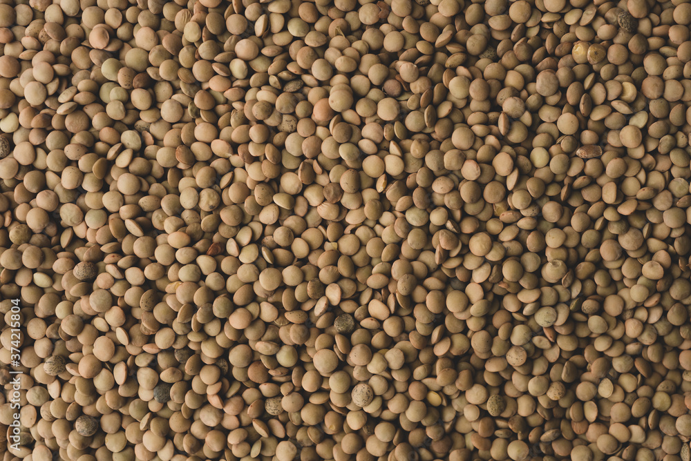 Many Raw Organic Lentils , Top view Many Raw Organic Lentils , Top view