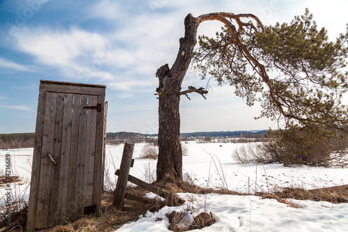 Spring landscape with village toilet and crooked pine tree © Дэн Едрышов
