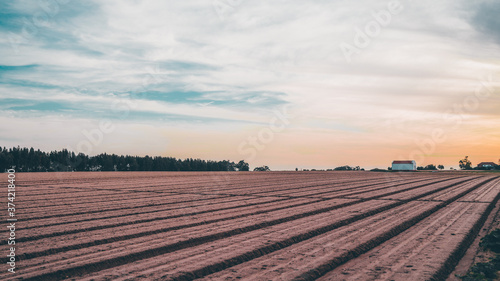 A wide-angle evening view of arable land with a selective focus on the background, the field with a sown ground yet without sprouting during springtime, dramatic sunset sky, Alcochete, Portugal