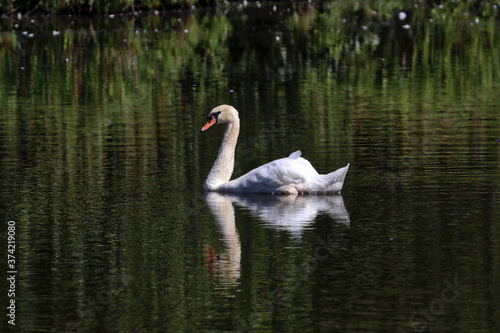 Shubenacadie Provincial Wildlife Park  Nova Scotia