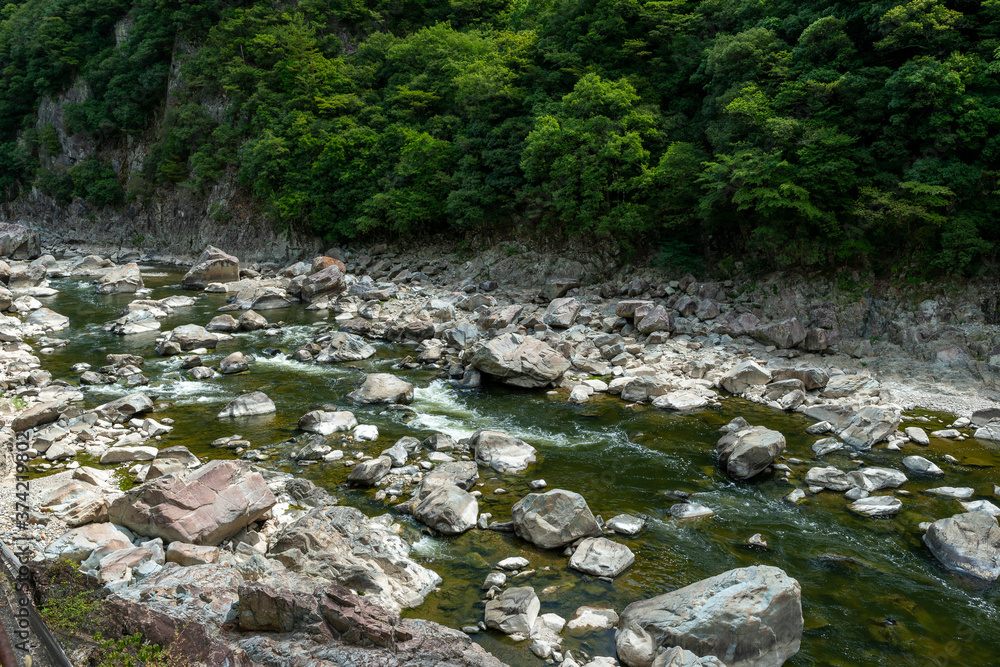 Summer view of Muko-river in Hyogo prefecture, Japan Summer view of Muko-river in Hyogo prefecture, Japan