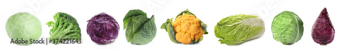 Set with assortment of cabbages on white background. Banner design