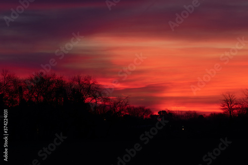 sunset in the forest