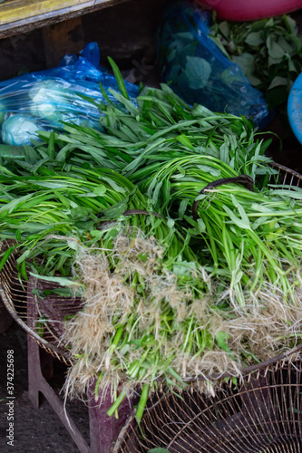 SONY DSC
herb, natural,healthy,vietnamfood;vegetable,cooking,lemon,tohu,asia,bamboocolandar,cookingmaterial,market,
ハーブ,野菜,自然素材,料理,竹,豆腐,ベトナム料理,市場, photo