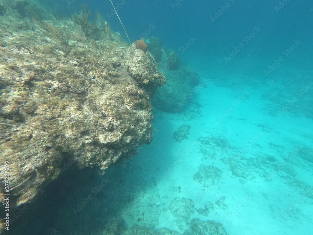 Fototapeta premium Snorkeling in Cuba