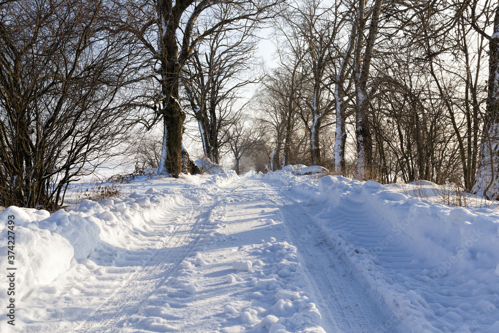narrow winter road narrow winter road