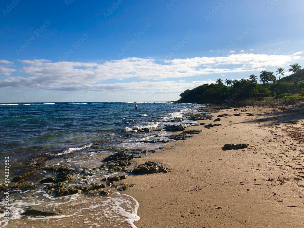 The Cuban coastline