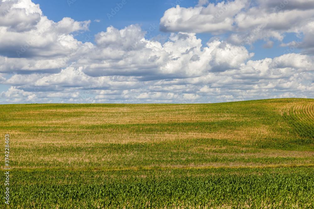 an agricultural field