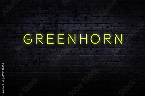 Photography Neon sign. Word greenhorn against brick wall. Night view
