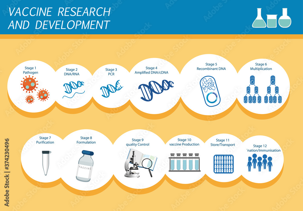 Obraz premium Vaccine research and development infographic