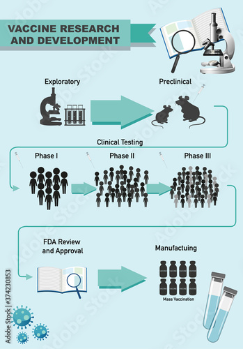 Vaccine research and development infographic