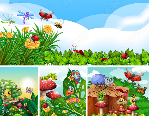 Set of different insects living in the garden background