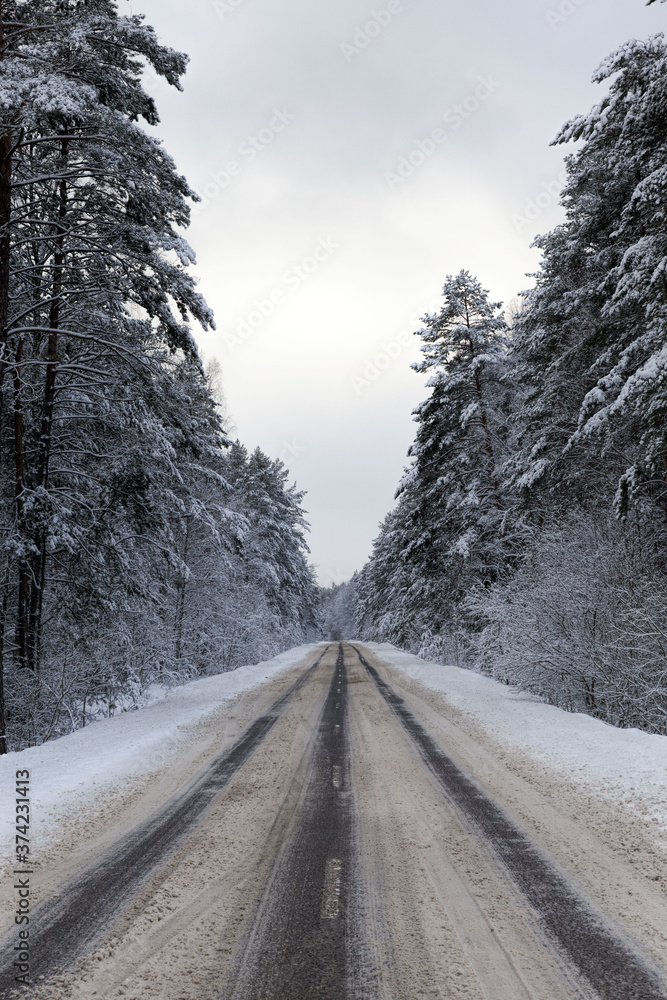 Obraz premium narrow winter road