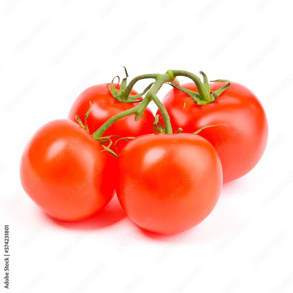 Tomatoes on a green branch on a white background. Tomatoes on a green branch on a white background.