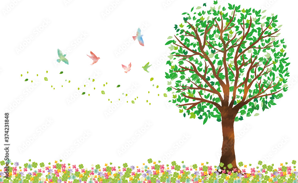 Naklejka Drzewo: Gałąź Naturalna zieleń Liść Świeża zieleń Kieł Wczesne lato Lato Wiosna Eko zieleń