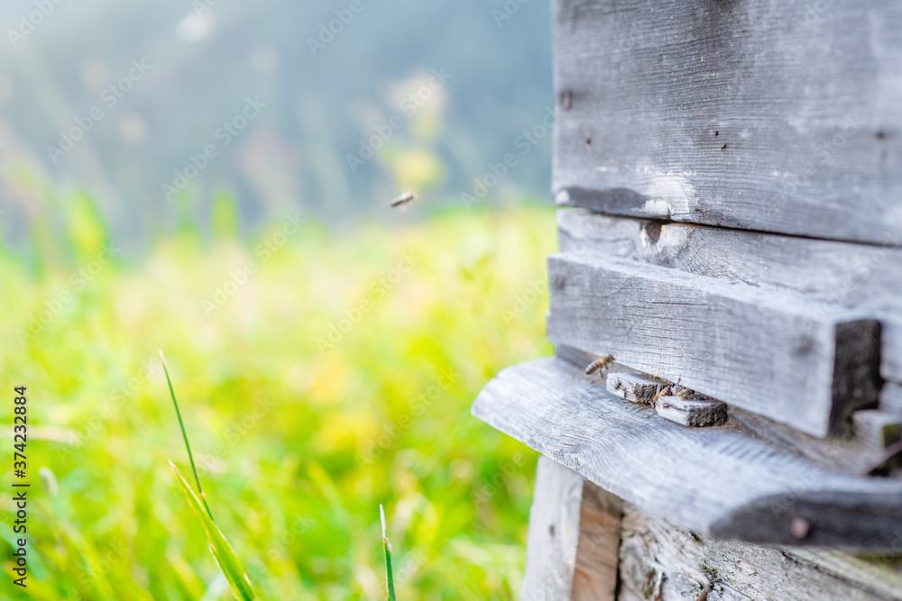 Wooden beehive with bees. Empty space for text Wooden beehive with bees. Empty space for text