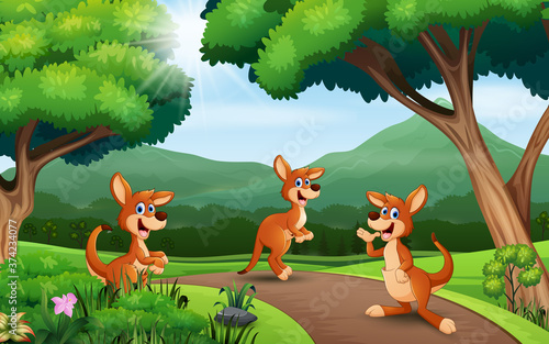 Cartoon three kangaroo playing at the nature