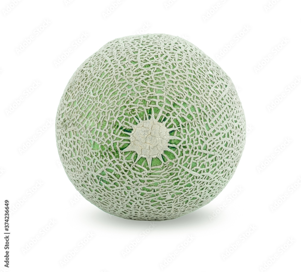 Melon isolated on the white background