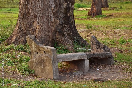 Abandoned cement bench covered with moss on the footpath at Indian Botanic Garden of Shibpur, Howrah near Kolkata. Soft focus photo