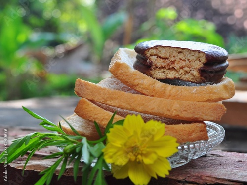 Dry rusk bread, choco pie chocolate and a glass of milk isolated on nature background. Healhty breakfast menu