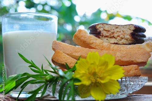 Dry rusk bread, choco pie chocolate and a glass of milk isolated on nature background. Healhty breakfast menu