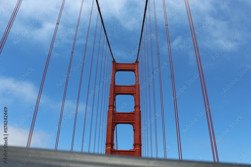 Naklejka premium Nature Photos