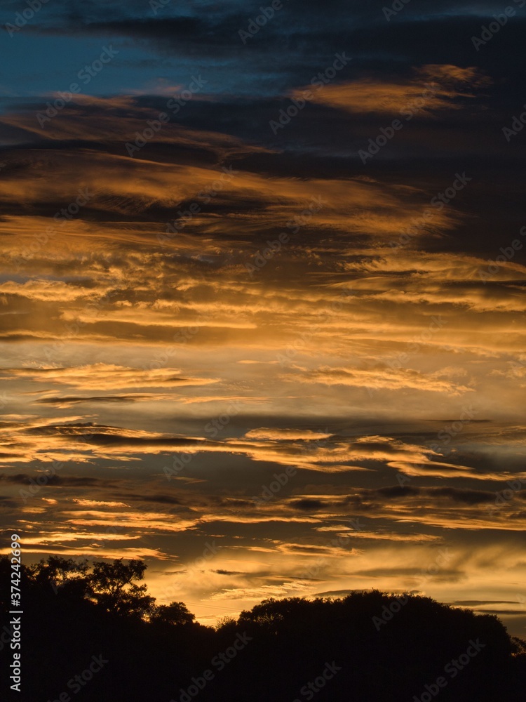 Fototapeta premium ダイナミックなゴールデンアワー縦構図