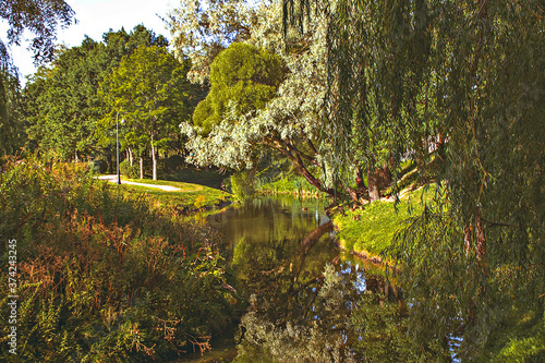 Nature. Summer park.
