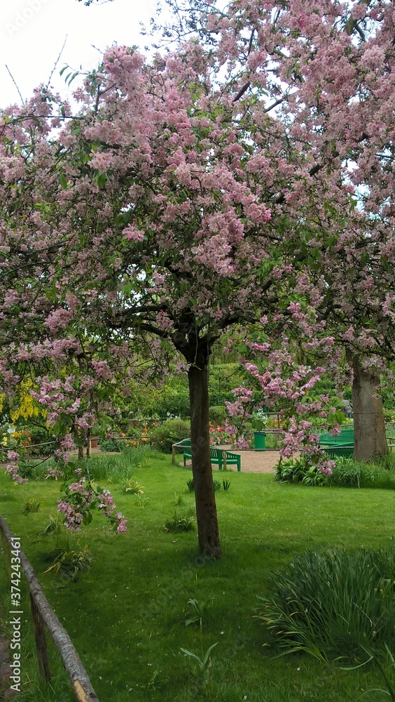 Naklejka premium Admiring the flowers and landscapes of our world