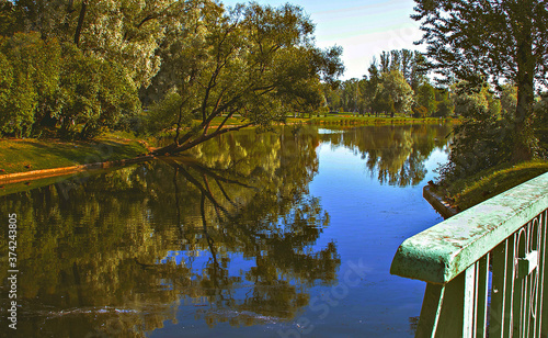 Nature. Summer park.