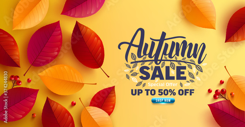 Autumn sale poster and banner template with autumn colorful leaves on yellow background.Greetings and presents for Autumn season.Promotion template for Autumn or fall concept