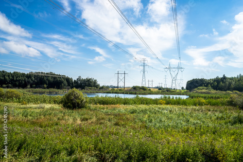 Power lines in summer season