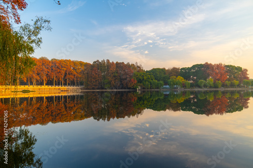 Hubei Wuhan East Lake Scenic Area Late Autumn  Scenery photo