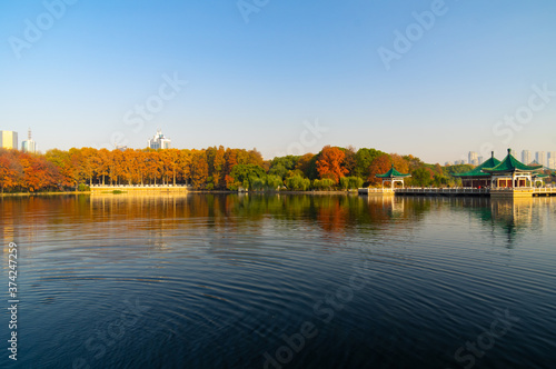 Hubei Wuhan East Lake Scenic Area Late Autumn  Scenery