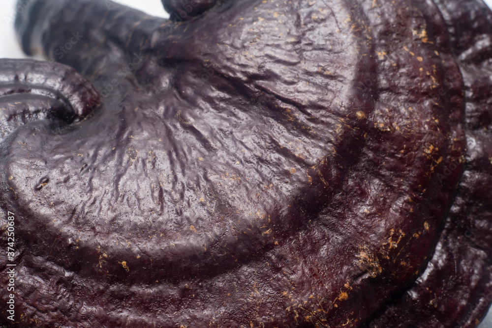 Obraz premium Ganoderma Black on a white background.
