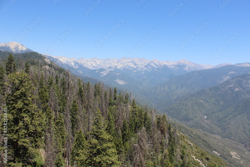 Obraz premium Nature Photos